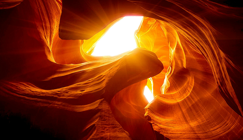 金年会金字招牌信誉至上入口制药盛装参展2024西鼎会，共绘健康产业新蓝图！